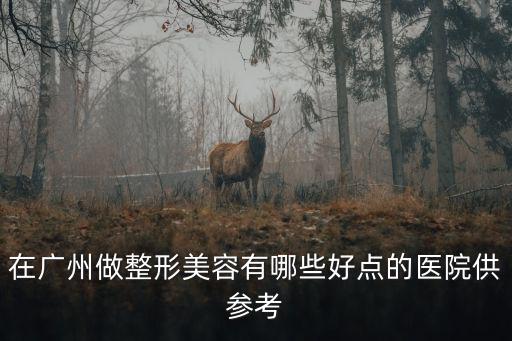 在廣州做整形美容有哪些好點的醫院供參考