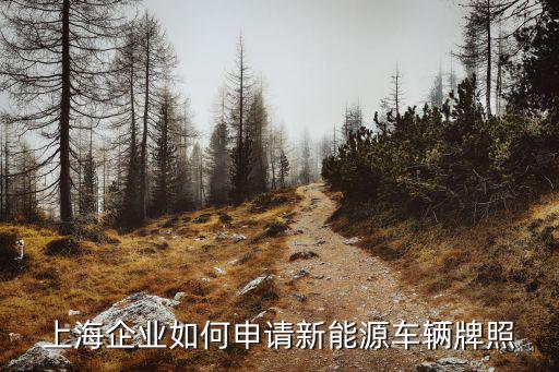 上海企業如何申請新能源車輛牌照