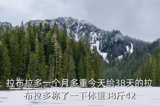 一個月的狗有多少斤，拉布拉多一個月多重今天給38天的拉布拉多稱了一下體重38斤42