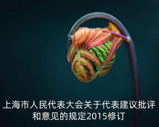 上海市人民代表大會關于代表建議批評和意見的規定2015修訂