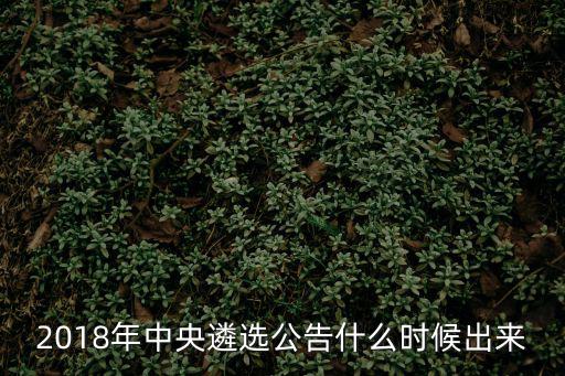 中央遴選2023公告，2018年中央遴選公告什么時候出來