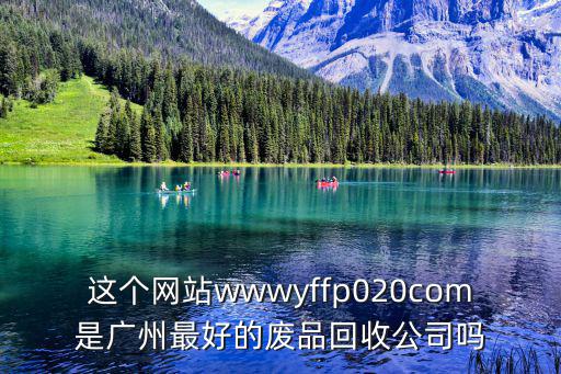 這個網站wwwyffp020com是廣州最好的廢品回收公司嗎