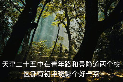 天津二十五中在青年路和靈隱道兩個校區(qū)都有初中班哪個好一點