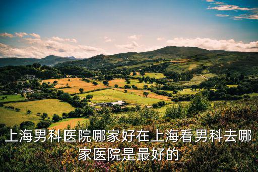 上海男科醫院哪家好在上海看男科去哪家醫院是最好的