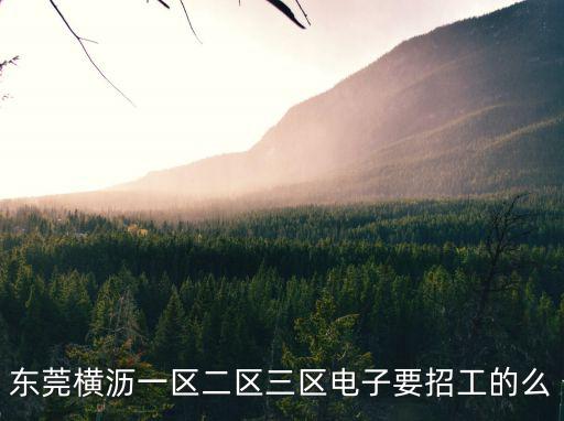 東莞橫瀝一區(qū)二區(qū)三區(qū)電子要招工的么