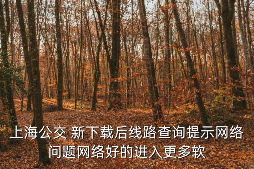上海發布app安裝，如何發布自己的軟件到一些軟件下載網站