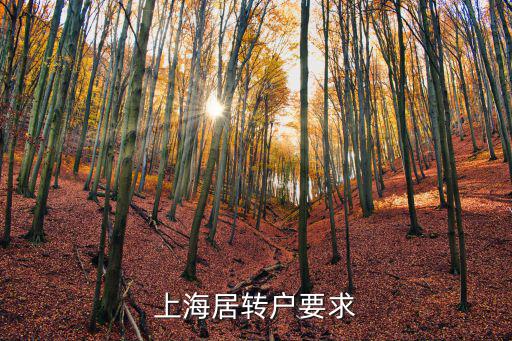 上海居轉戶要求