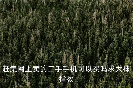 趕集網上賣的二手手機可以買嗎求大神指教