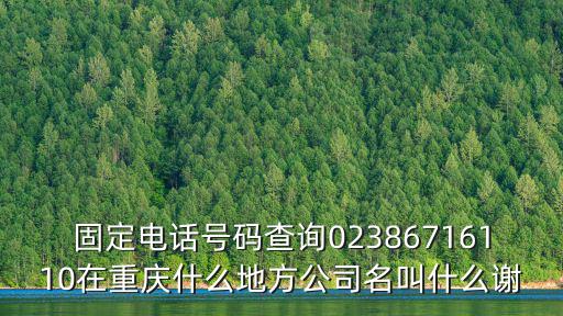 重慶市通達投資有限公司電話號碼，重慶號碼查詢