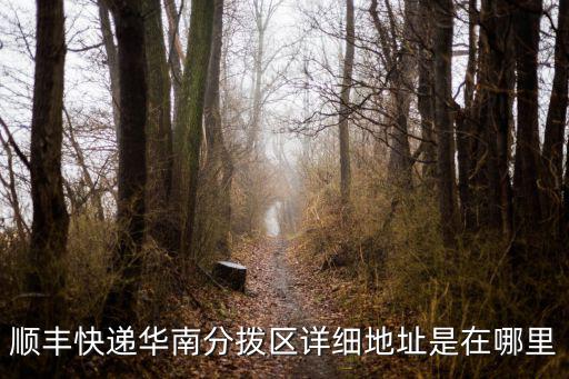 順豐快遞華南分撥區詳細地址是在哪里