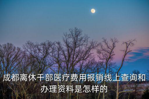 成都市醫療保障局檔案 永本，成都社保卡補辦要有哪些資料