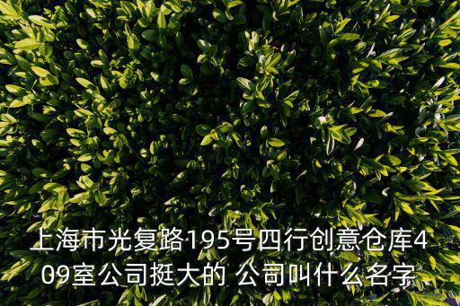 上海市衛盾科技有限公司，上海市光復路195號四行創意倉庫409室公司挺大的 公司叫什么名字