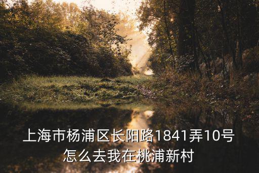 上海市楊浦區長陽路1841弄10號怎么去我在桃浦新村