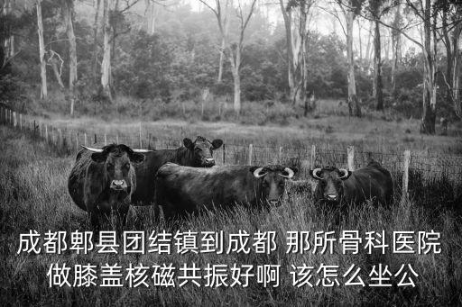 成都市郫都骨科醫(yī)院，郫縣骨科醫(yī)院治療大腳骨基本費(fèi)用要多少