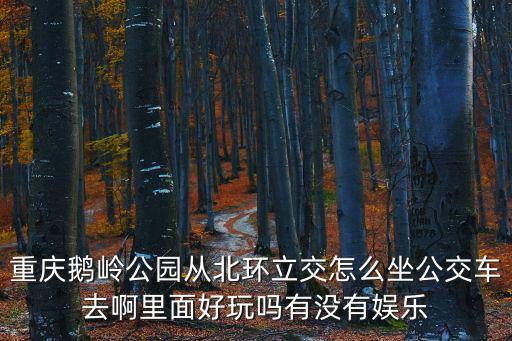 重慶市鵝嶺公園路線，重慶鵝嶺公園從北環立交怎么坐公交車去啊里面好玩嗎有沒有娛樂
