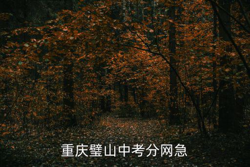 重慶璧山中考分網急