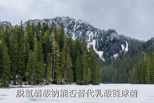 脫氫醋酸鈉能否替代乳酸鏈球菌