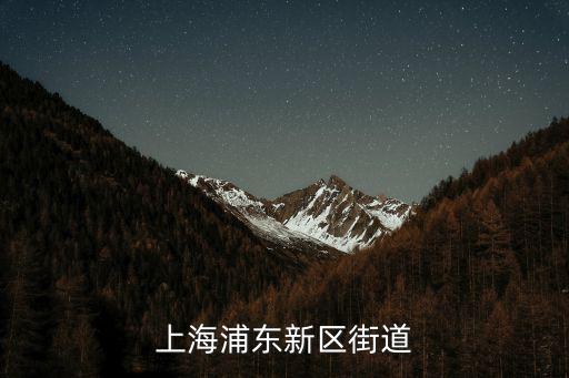 上海浦東新區(qū)街道