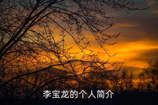 李寶龍的個人簡介