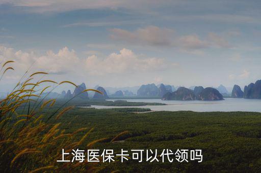 上海醫保卡可以代領嗎