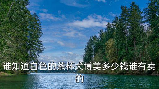 誰(shuí)知道白色的茶杯犬博美多少錢(qián)誰(shuí)有賣(mài)的