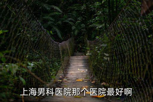 上海男科醫院排名最好的醫院，上海男科醫院那個醫院最好啊