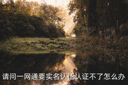 一網通辦注冊，怎樣申請網號