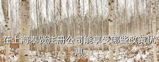 在上海奉賢注冊公司能享受哪些政策優(yōu)惠