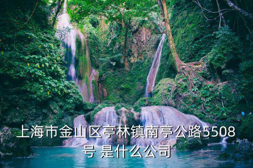 上海市金山區(qū)亭林鎮(zhèn)南亭公路5508號 是什么公司