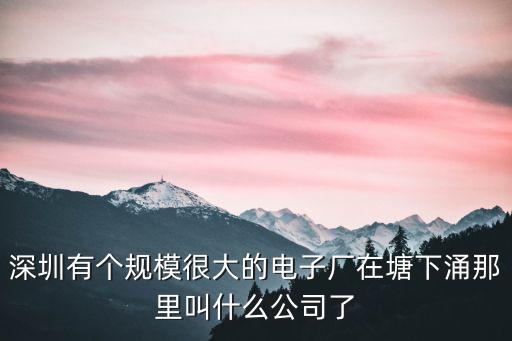 深圳有個規(guī)模很大的電子廠在塘下涌那里叫什么公司了