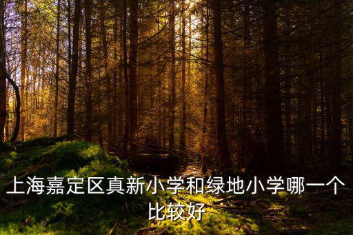 上海嘉定區(qū)真新小學(xué)和綠地小學(xué)哪一個比較好