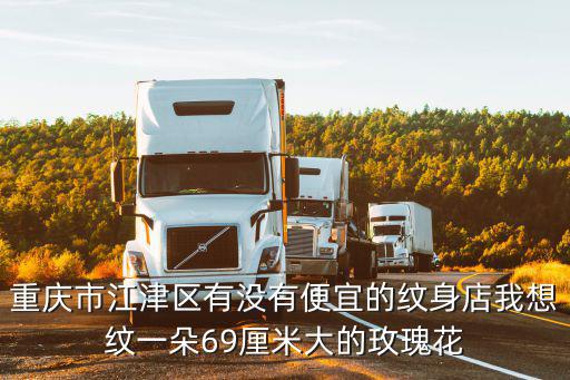 重慶市江津區有沒有便宜的紋身店我想紋一朵69厘米大的玫瑰花