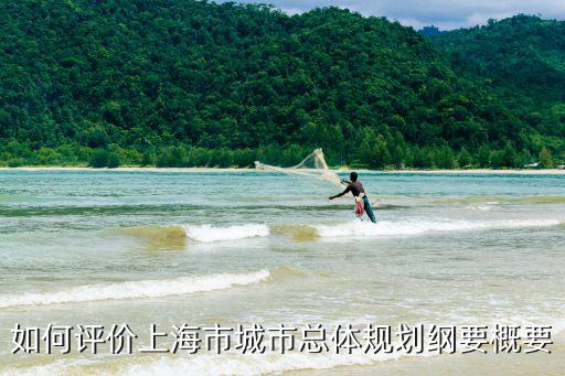 如何評價上海市城市總體規劃綱要概要
