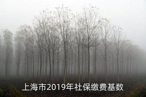 上海市2019年社保繳納標準，上海市2019年社保繳費基數(shù)
