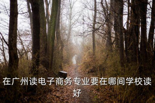 在廣州讀電子商務(wù)專業(yè)要在哪間學(xué)校讀好