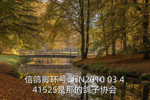 四川成都市信鴿協會03，信鴿腳環號CHN2010 03 441525是那的鴿子協會