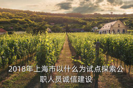 2018年上海市以什么為試點探索公職人員誠信建設