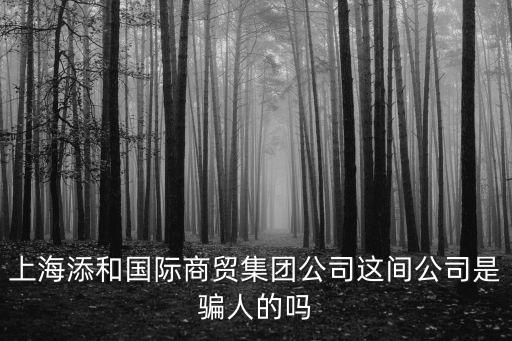 上海添和國際商貿集團公司這間公司是騙人的嗎