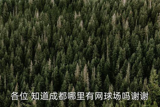 各位 知道成都哪里有網球場嗎謝謝