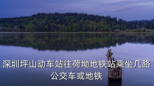 深圳坪山動(dòng)車站往荷坳地鐵站乘坐幾路公交車或地鐵