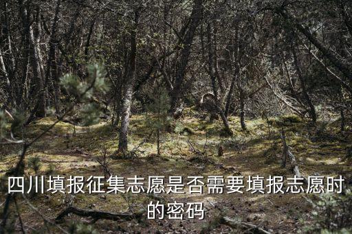 四川填報(bào)征集志愿是否需要填報(bào)志愿時(shí)的密碼