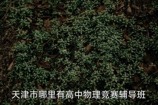 天津市哪里有高中物理競賽輔導班