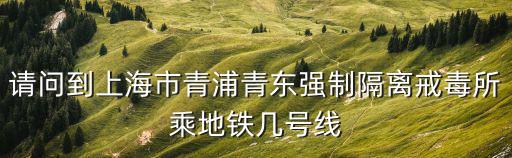 上海市青東戒毒所  vr，從嘉定北站到上海第三強制隔離戒毒所乘哪路車