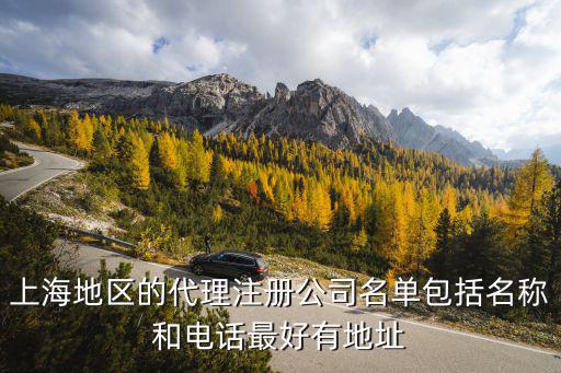 上海地區(qū)的代理注冊公司名單包括名稱和電話最好有地址