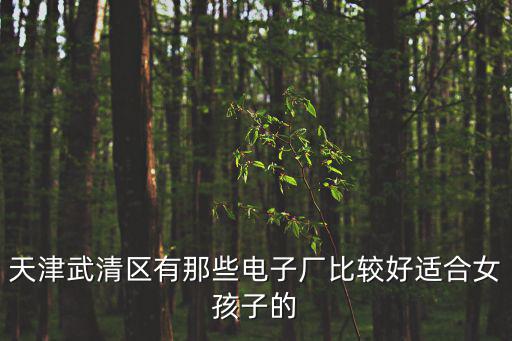天津市武清區(qū)博朗電子，天津武清區(qū)有那些電子廠比較好適合女孩子的