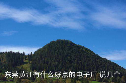 東莞黃江有什么好點的電子廠 說幾個