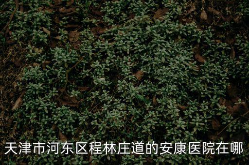 天津市河東區程林莊道的安康醫院在哪