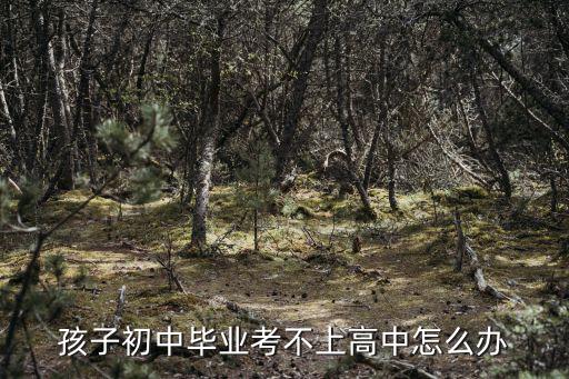 孩子初中畢業(yè)考不上高中怎么辦
