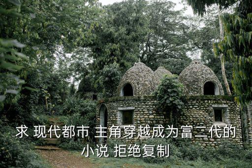 求 現代都市 主角穿越成為富二代的小說 拒絕復制