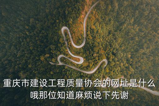 重慶市建設工程質量協會的網址是什么哦那位知道麻煩說下先謝